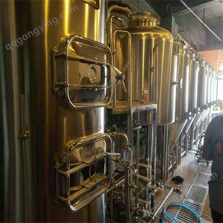 广东500升精酿啤酒设备