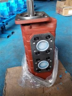 郑州宇通机械液压齿轮泵CBGJ3100/1010-XF|泉城牌液压泵
