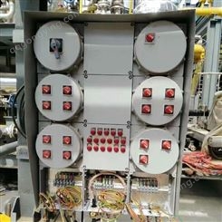 现场检修防爆配电箱 bxd51-DIP粉尘防爆动力箱