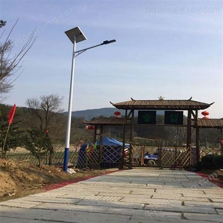 言成6米40WLED路灯 乡村LED太阳能路灯价格 太阳能路灯安装