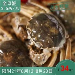8月11到20日潜江鲜活大闸蟹六月黄淡水螃蟹2.5两规格全母蟹34/斤30斤起售