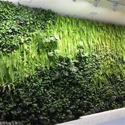 仿真花草墙 墙体绿化 绿植大全造景装饰 室内假植物墙
