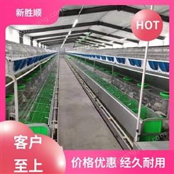 新胜顺畜牧设备 供应销售 老鼠笼 组装方便 繁育一体化