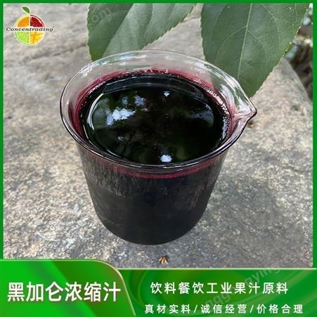 黑加仑浓缩汁 饮料餐饮工业果汁原料非红葡萄进口批发