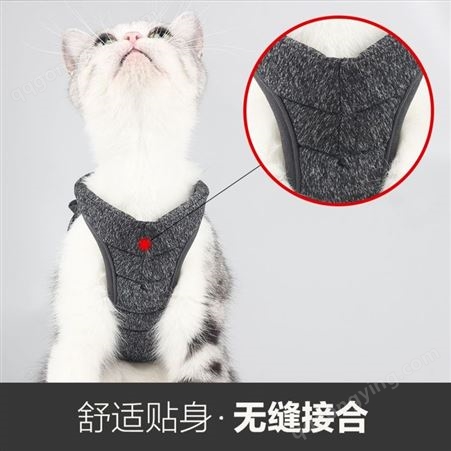 cat harness猫咪牵引绳栓猫溜猫绳猫胸背带遛狗亚马逊现货批发