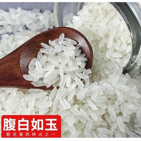 有机东北大米 和粮农业溢田有机大米 五常稻花香二号品种10斤装