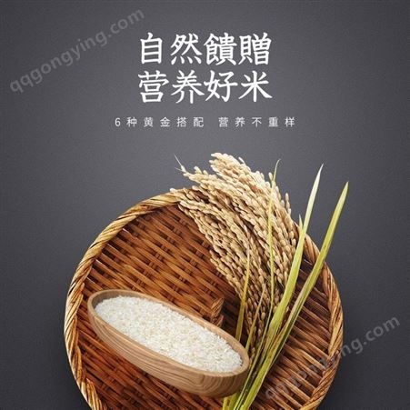 大碎米 抛光食用酿酒饲料 东北碎米批发厂家 黑龙江和粮农业