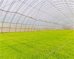 农业物联网温室大棚灌溉方案、赢兴仪器现货