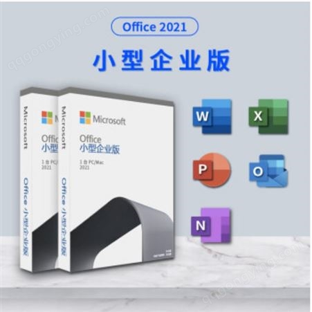 Microsoft微软办公软件office 2021小型企业版彩包软件office