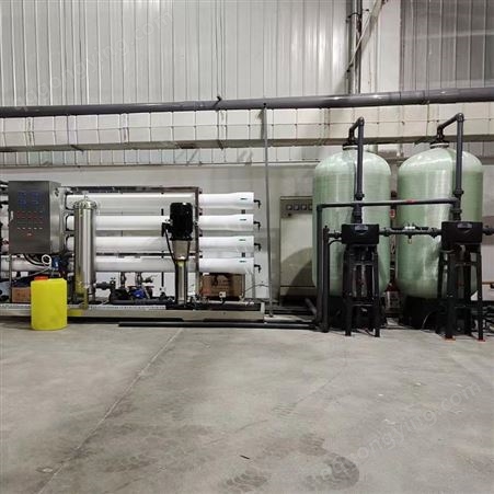 千业滤器 养殖场饮用纯水净化 反渗透设备 3吨每小时