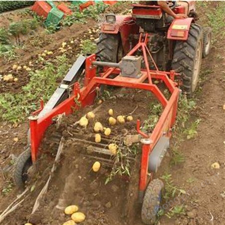 绿创 魔芋收获机 收土豆马铃薯的机器 四轮拖拉机带的地瓜收割机
