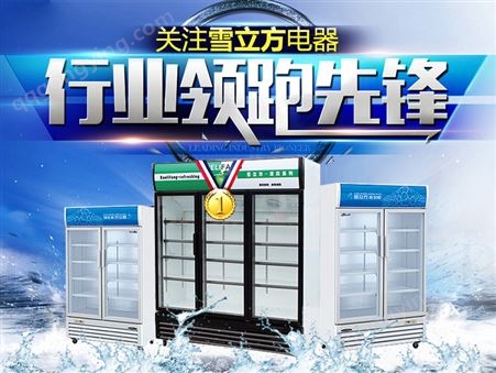 雪立方-Fl2.0D 四门风冷冰柜商用冰箱/插盘冷藏柜/冷冻
