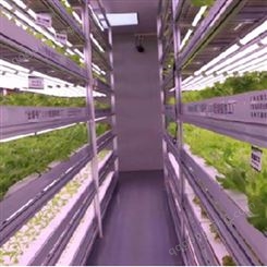 固定箱体型智能植物工厂规模化小型组培育种育苗果蔬生产固定基地