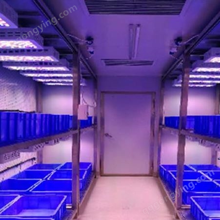 固定箱体型智能植物工厂规模化小型组培育种育苗果蔬生产固定基地