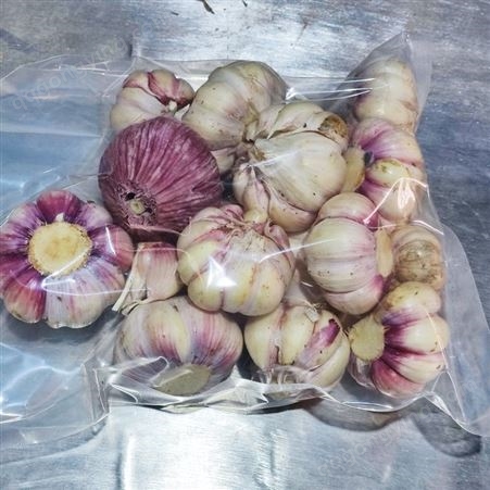 紫皮大蒜 蒜的瓣少而大，辛辣味浓，质量较优 斯刻达