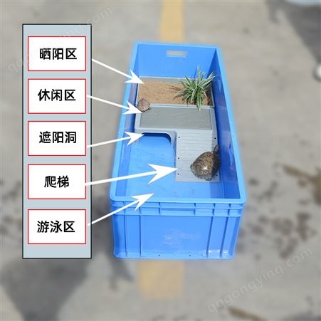 乌龟缸带晒台饲养箱乌龟别墅养龟箱专用养龟缸塑料龟盆鱼缸养龟池