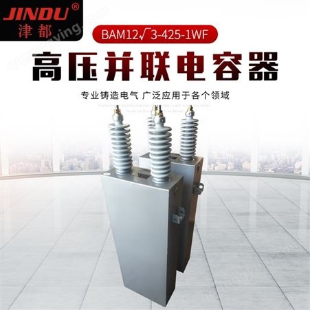 BAM12√3-425-1WF现货直供JINDU津都品牌BAM12√3-425-1WF集合式高压并联电容器