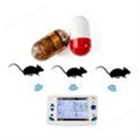 小动物体温测量仪，小鼠体温测量仪
