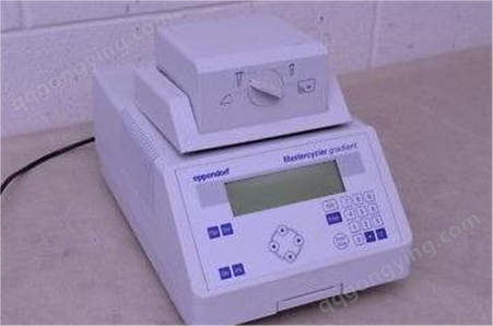 德国艾本德eppendorf  铝制梯度PCR仪 6331000076