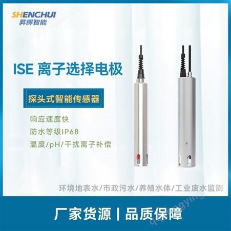 ISE系列ISE 离子选择电极在线传感器 316L不锈钢 进口电极