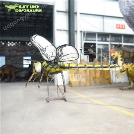 蜻蜓 仿真昆虫 大型动态活体昆虫制作工厂