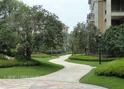 上海奉贤佛甲草 私家花园设计 绿化租赁