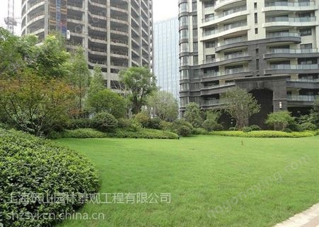 上海普陀景观工程绿化清包工绿化租赁