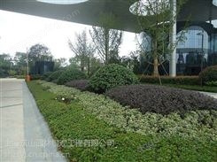 上海宝山竹子屋顶绿化园林公司