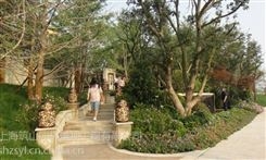 上海卢湾花镜植物 绿化清包工 花园养护