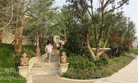 上海卢湾花镜植物 绿化清包工 花园养护