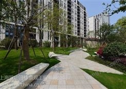 上海青浦草坪 绿化清包工 花镜工程案例
