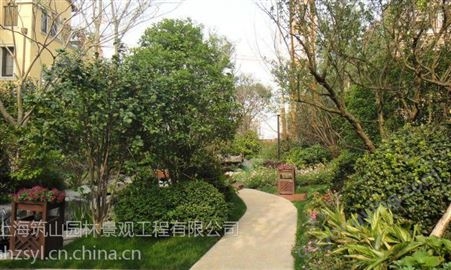 上海松江景观工程 屋顶绿化 绿化租赁