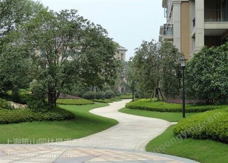 上海青浦花镜植物苗木供应花卉租赁