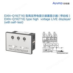 DXN-Q16(T16)型高压带电显示装置显示器(带自检)