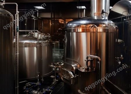 将军金属 200L精酿啤酒设备 啤酒酿造设备 自动化啤酒发酵罐