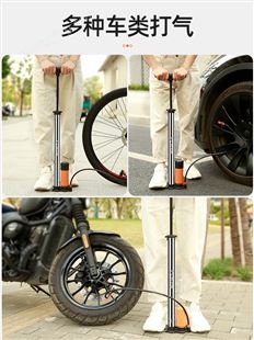 自行车打气筒电动电瓶车家用摩托车充气筒高压便携气管子篮球通用