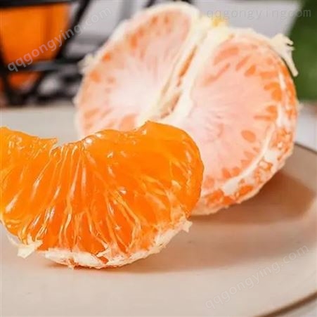 秀可 橘子果粒罐头 不添加任何防腐剂罐头批发 橘子罐头