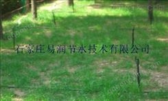 淳化县专业雾化微喷头安装过程_地形设计