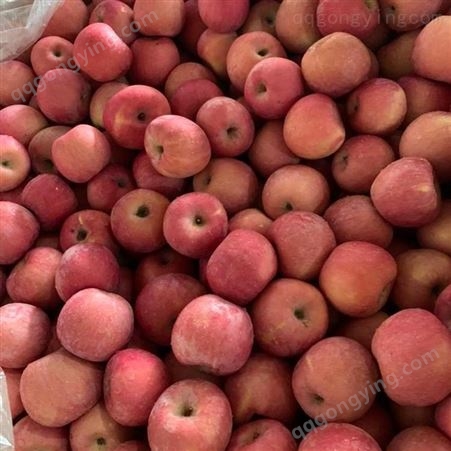 苹果运输 山东红富士价格 会升红富士苹果 果肉多汁味道甜